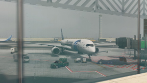 Airbus A350 EgyptAir (SU-GGE) thumbnail 2