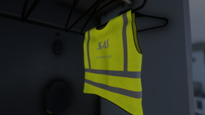 Airbus A350 Scandinavian Airlines (SE-RSF) thumbnail 5