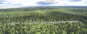 Alaska Bush Strips Pack thumbnail 7
