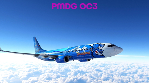 Alaska  "Make a Wish"   PMDG 737-800SSW