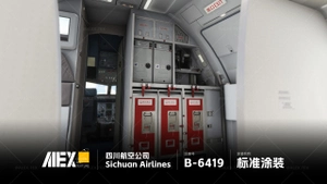 【Alex.Tex】FenixSimA319-IAE Sichuan Airlines B-6419 四川航空公司-标准涂装NC-8K thumbnail 10