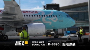 【Alex.Tex】FenixSimA320-CFM-SL Loong Air B-8895 浙江长龙航空公司-标准涂装-8K thumbnail 5