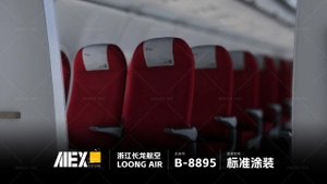 【Alex.Tex】FenixSimA320-CFM-SL Loong Air B-8895 浙江长龙航空公司-标准涂装-8K thumbnail 8