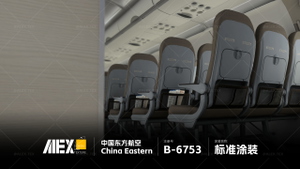【Alex.Tex】FenixSimA321-IAE China Eastern B-6753 中国东方航空-标准涂装-8K thumbnail 7