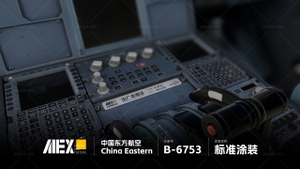 【Alex.Tex】FenixSimA321-IAE China Eastern B-6753 中国东方航空-标准涂装-8K thumbnail 10