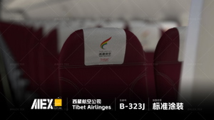 【Alex.Tex】FenixSimA319-CFM-SL Tibet Airlines B-323J 西藏航空公司-标准涂装-8K thumbnail 9
