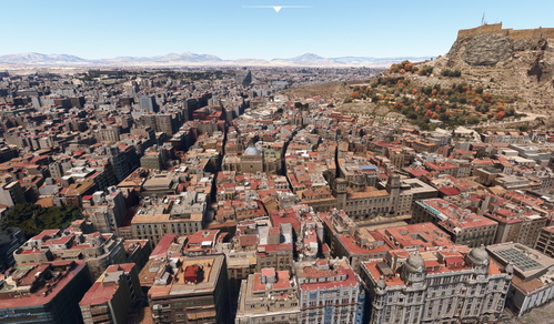 Alicante no tree