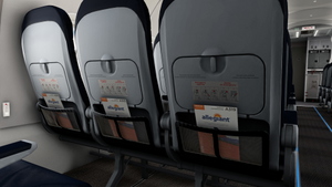 Allegiant Air | N323NV | w/Cabin | Fenix A319 (8K + 4K) thumbnail 10