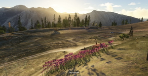 Altisurface de l'Arpette thumbnail 1
