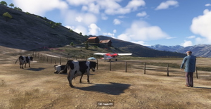 Altisurface de l'Arpette thumbnail 8
