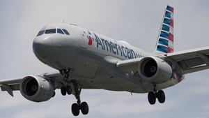 American Airlines | Pack | w/Cabin | Fenix A319 (8K + 4K) thumbnail 4