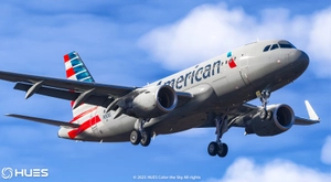 American Airlines Livery Pack w/ Cabin | Fenix A319SL  thumbnail 3