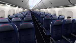 American Airlines [Pack] w/Cabin | iFly 737 MAX 8 thumbnail 10