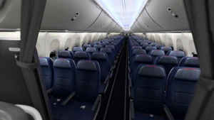 American Airlines [Pack] w/Cabin | iFly 737 MAX 8 thumbnail 11
