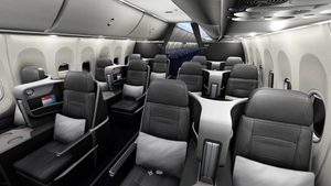 American Airlines [Pack] w/Cabin | iFly 737 MAX 8 thumbnail 12