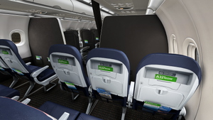 American Airlines 'Stand Up To Cancer' | w/Cabin | Fenix A321 SL thumbnail 14