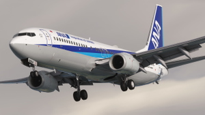 ANA Wings [JA89AN] w/Cabin PMDG B737-800 thumbnail 5