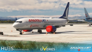 AnadoluJet Pack  w/Cabin - iFly 737 MAX 8 thumbnail 8