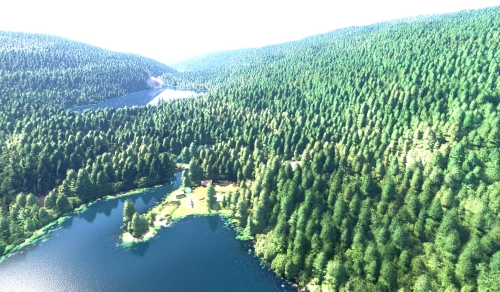 Arlington Lake Camp
