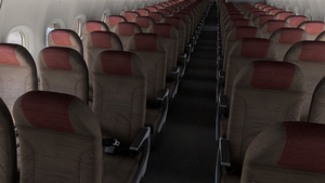 [BFU] Asiana Airlines WTF | Pack | w/Cabin | Fenix A321 8K thumbnail 11