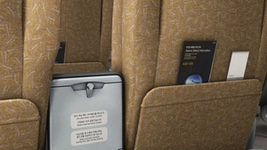 Asiana Airlines | Pack w/ Cabin | Fenixsim Airbus A321 thumbnail 7