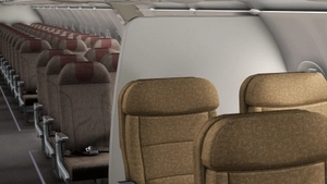 Asiana Airlines | Pack w/ Cabin | Fenixsim Airbus A321 thumbnail 8