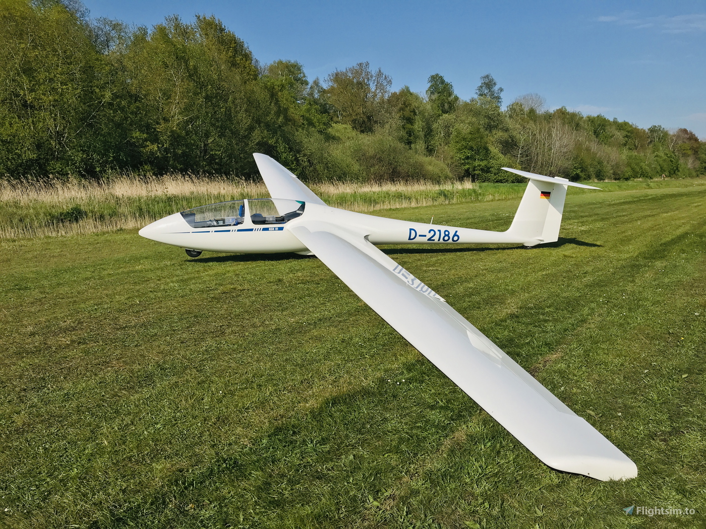 ASK21 - D-2186 for Microsoft Flight Simulator | MSFS