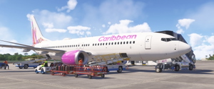 Asobo 737 MAX 8 | Caribbean Airlines (9Y-ANT) thumbnail 8
