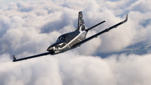 Asobo TBM 930 D-FBBB (Dynamic Registration) thumbnail 8