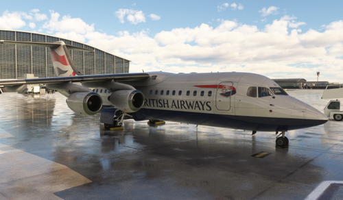 BAE 146 + Avro RJ Camera Views