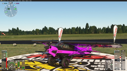 BBP XCub Wolfies ESTOL 