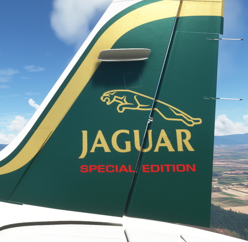 Beechcraft Bonanza Jaguar Special Edition