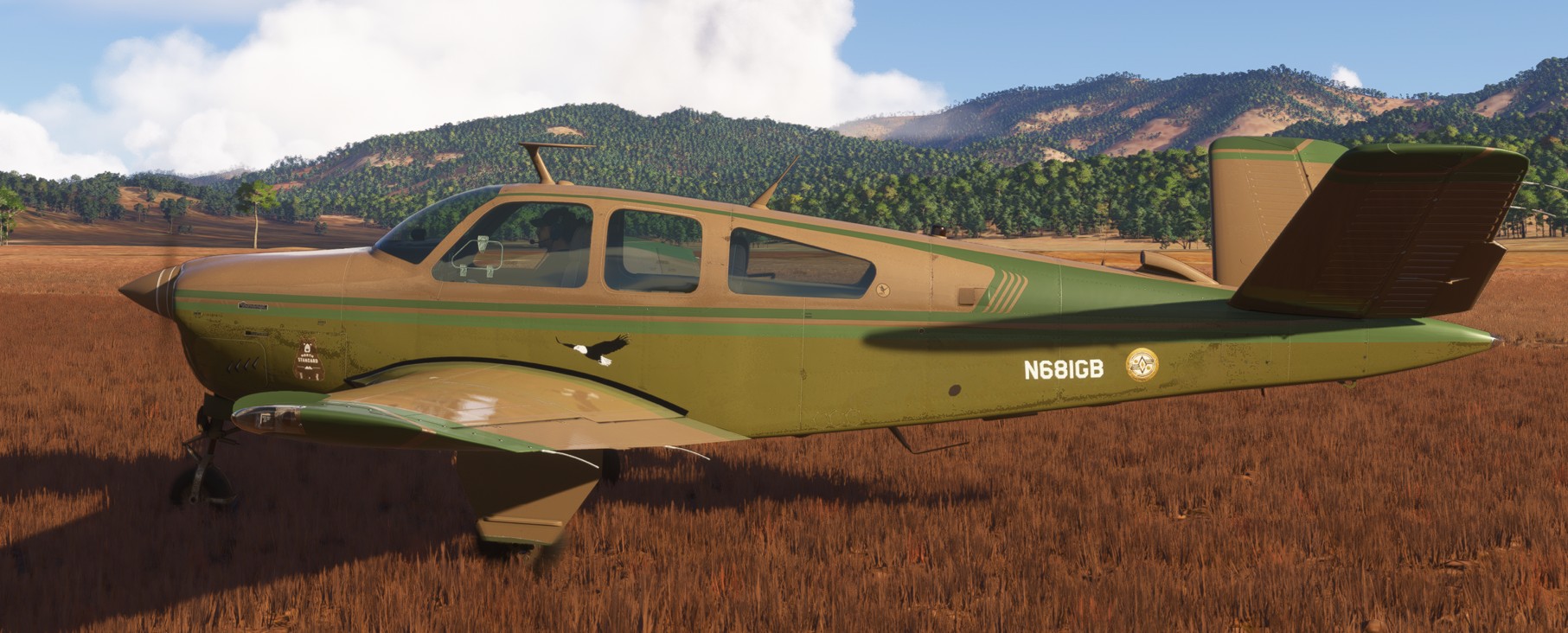 Beechcraft Bonanza V35 Liveries for MSFS | Flightsim.to