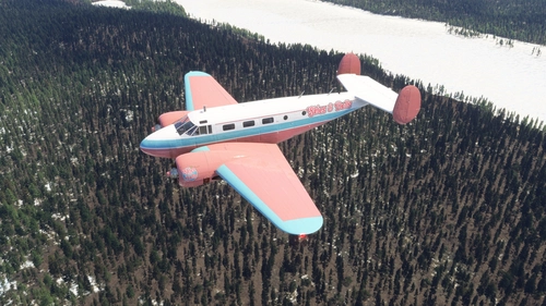 Beechcraft Model  18 - Skies & Dolls