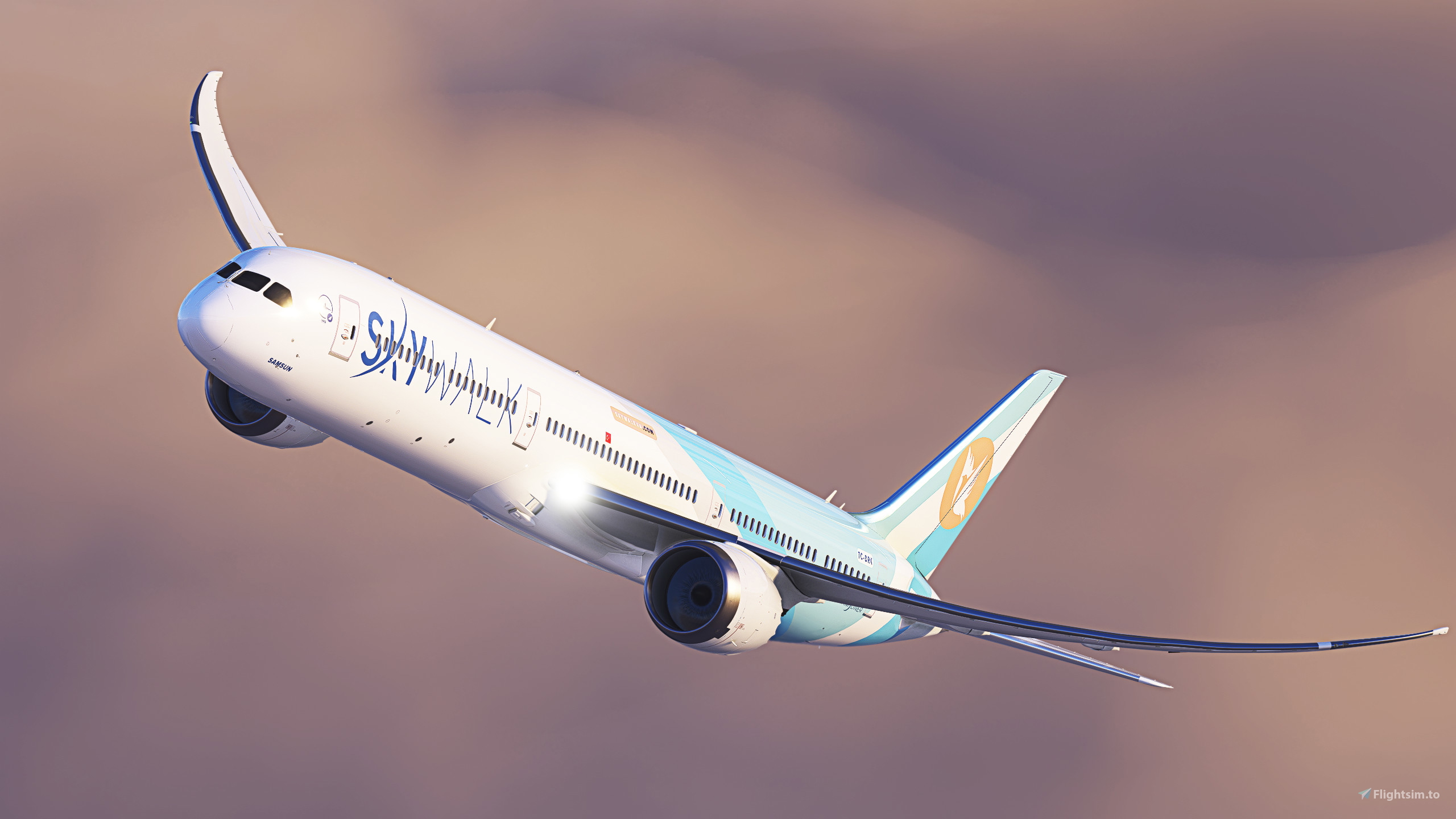 ミルミル＊画像をご覧ください。 航空母艦の上にある飛行機と、いくつかの787-9ドリームライナー