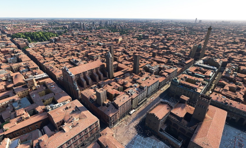 Bologna  no tree