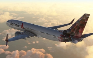 Bon Air Virtual  Boeing 737-800 SSW PMDG Fleet Pack Fictional thumbnail 5