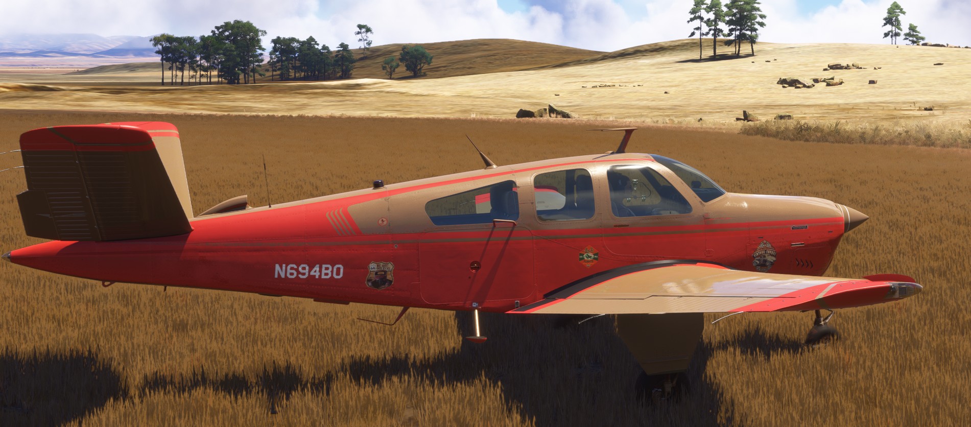 Beechcraft Bonanza V35 Liveries for MSFS | Flightsim.to