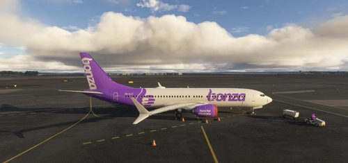 Bonza  (VH-UJT) | Asobo 737-8MAX