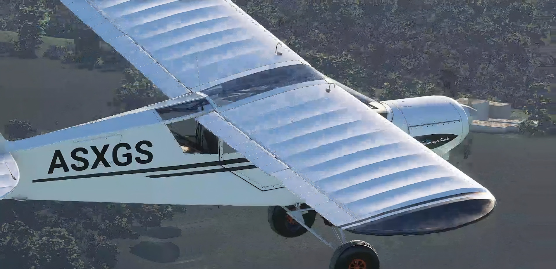 Box Simulations Savage Cub - Image 2