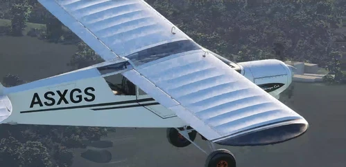 Box Simulations Savage Cub
