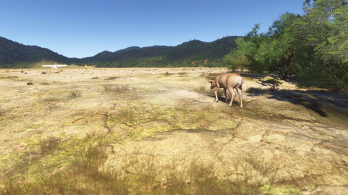 Boyd Airstrip