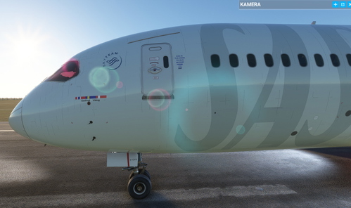Bravoairspace 787 Scandinavian (fictional)