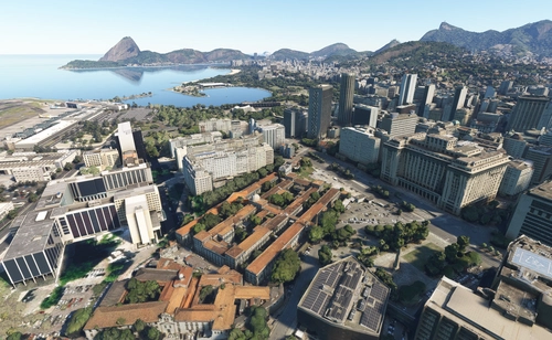 Brazil NO Trees