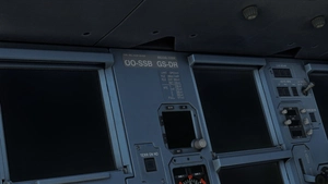 Brussels Airlines | Fleet w/ Cabin | Pack 2 | Fenixsim Airbus A319 thumbnail 6