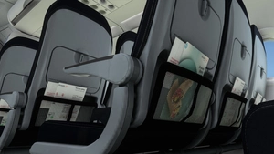Brussels Airlines | Fleet w/ Cabin | Pack 2 | Fenixsim Airbus A319 thumbnail 7