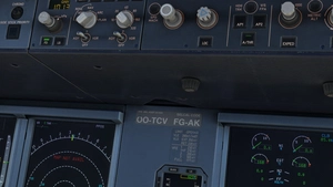 Brussels Airlines | Fleet w/ Cabin | Fenixsim Airbus A320 v2 thumbnail 7