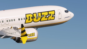 Buzz (Pack 1) w/Cabin - iFly 737 MAX8 thumbnail 1