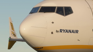 Buzz (Pack 1) w/Cabin - iFly 737 MAX8 thumbnail 7