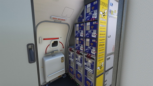 BUZZ [Package 1] w/Cabin IFly B737 MAX 8 thumbnail 7
